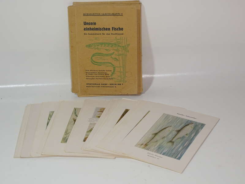 Unsere einheimischen Fische Merkblätter Sammelmappe 1952  Fischfreund Sportverlag 