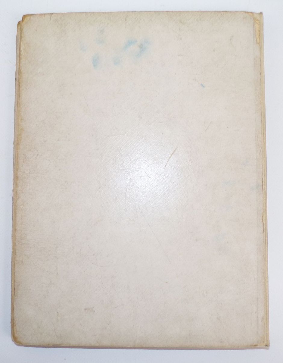 Aus des Lebens Mai Steinkamp und Voigt um 1900 Kinderbuch