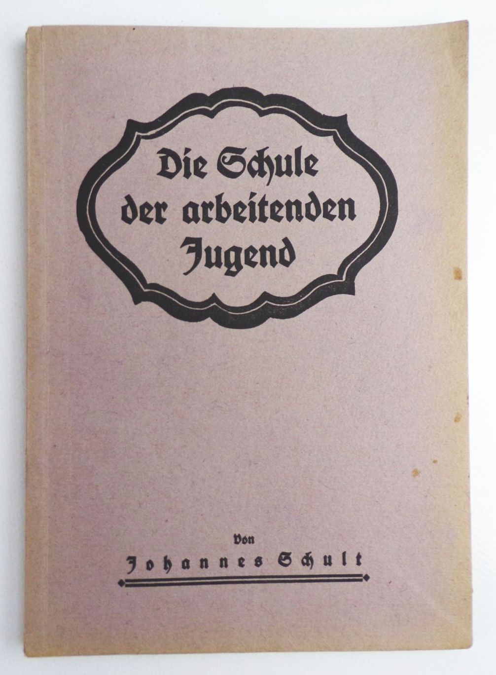 Die Schule der arbeitenden Jugend Johannes Schult 1922 Erstausgabe