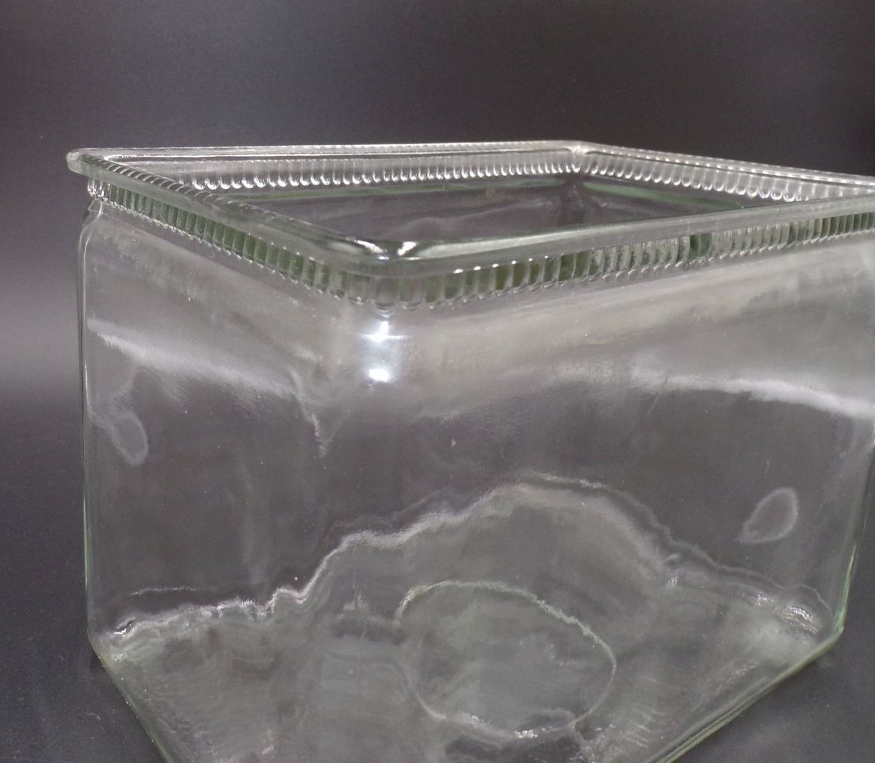 Altes Glas Rechteck Behälter Pflanzgefäß Batterieglas Antik Paludarium