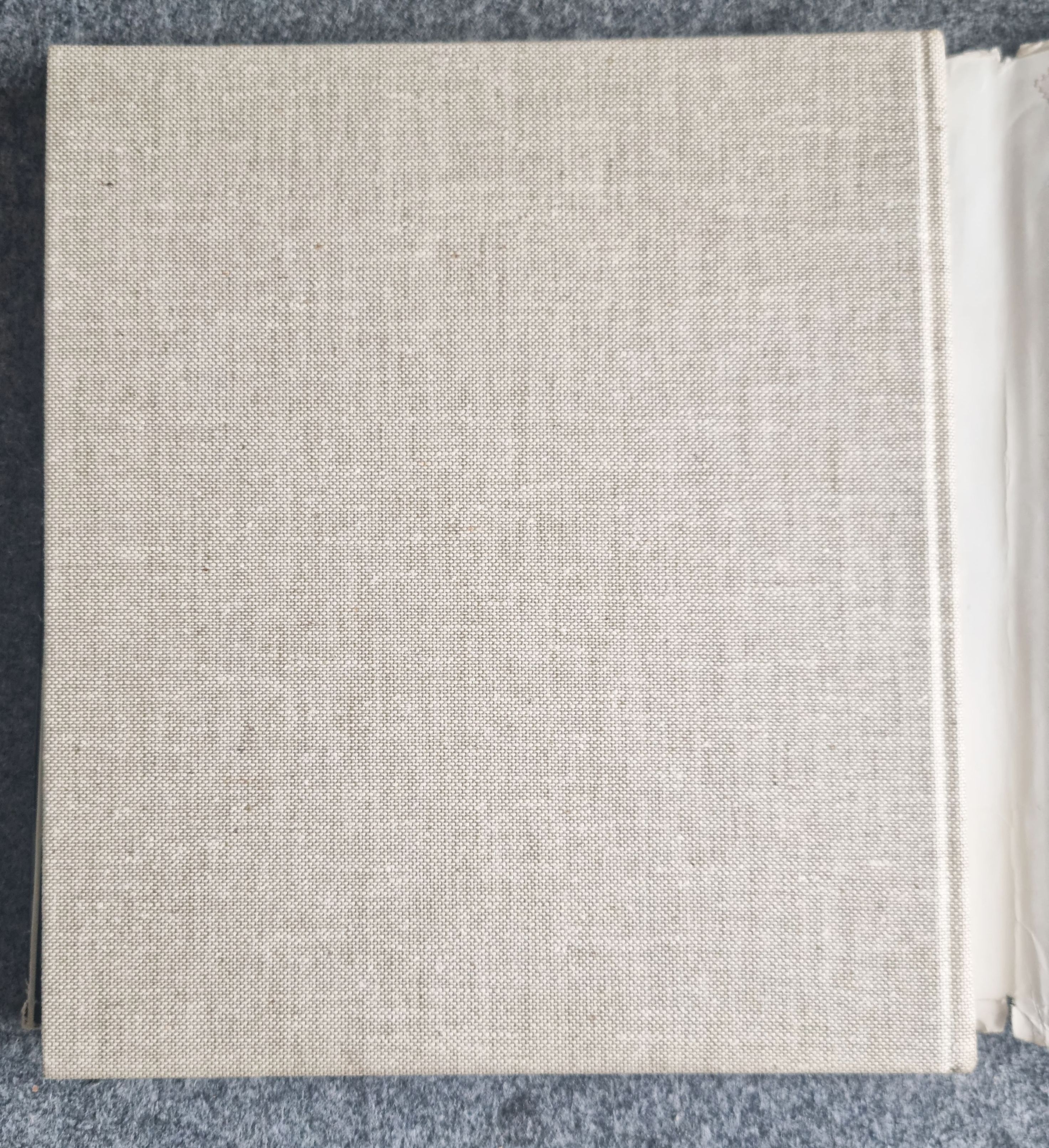 Abenteuer Trasse FDJ Erlebnisse und Beobachtungen 1978 neues Leben Berlin Abenteuer Trasse FDJ Erlebnisse und Beobachtungen 1978 neues Leben Berlin