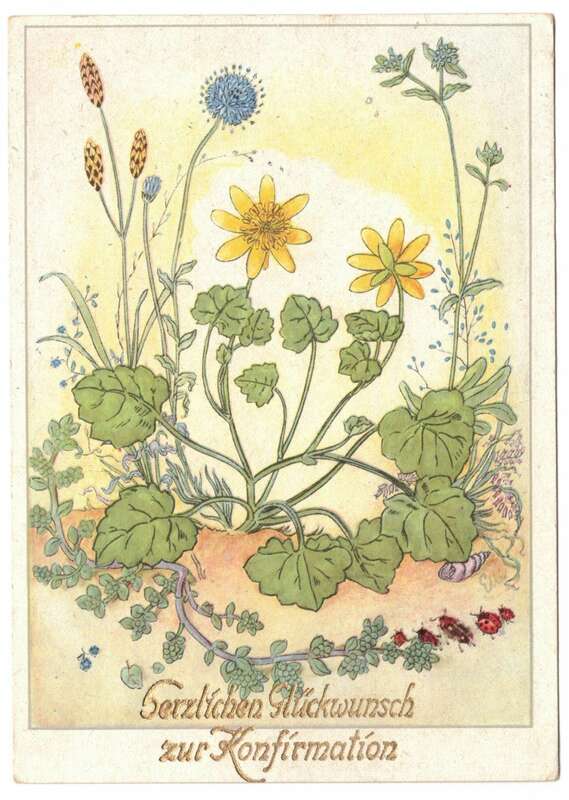 Künstler Ak Pflanzen Blumen Käfer Euc signiert Stöckel Bildkarte Y 11 