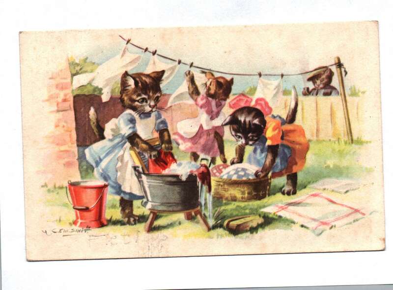 Ak Katzen Wäsche waschen Wäsche aufhängen 1944
