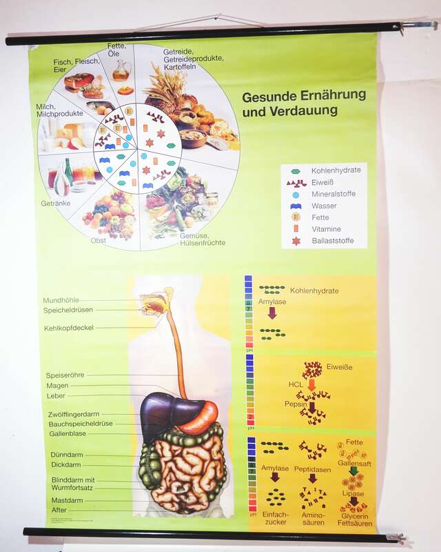 Vintage Rollkarte gesunde Ernährung und Verdauung Lehrkarte Wandtafel 1996 Hagemann
