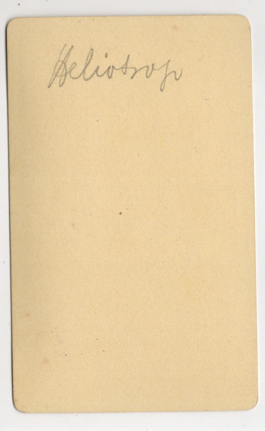 Alte Fotografie Vanilleblume Blüte 1880 koloriertes Carte de Visite Botanik Flora Alte Fotografie Vanilleblume Blüte 1880 koloriertes Carte de Visite Botanik Flora