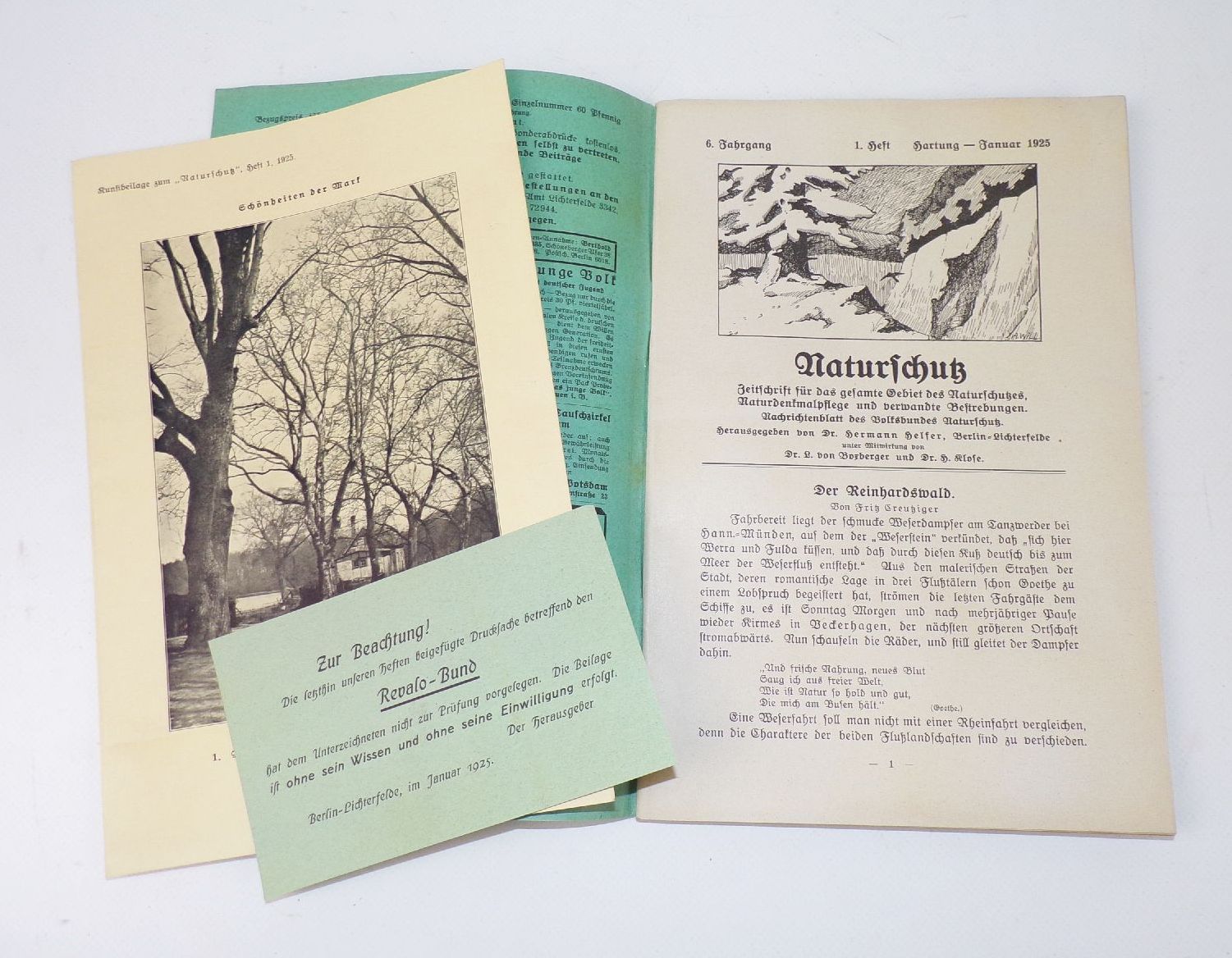Naturschutz Zeitschrift 1925 Halbjahr Tiere Natur Umwelt 