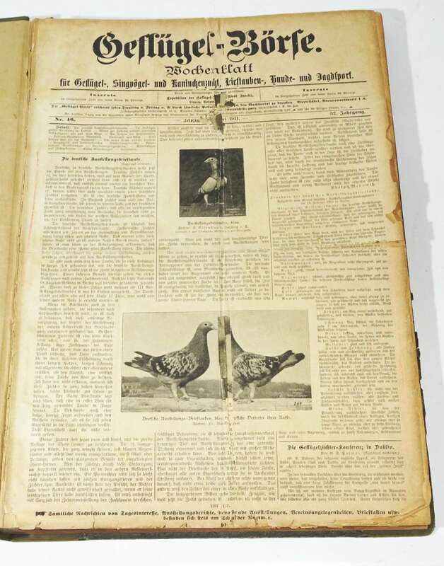 Geflügel Börse 1911 Tier Börse 1912 gebundene Zeitschrift Tierzucht 