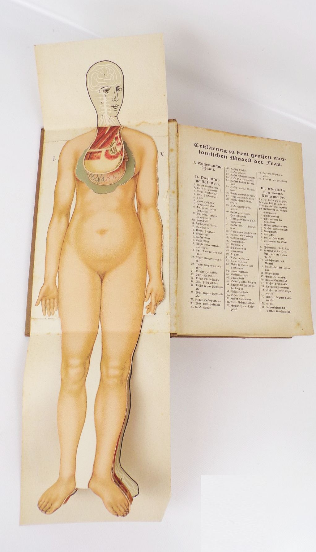 Ratgeber an gesunden und kranken Tagen 1 Band Medizin Heilkunde Ratgeber an gesunden und kranken Tagen 1 Band Medizin Heilkunde