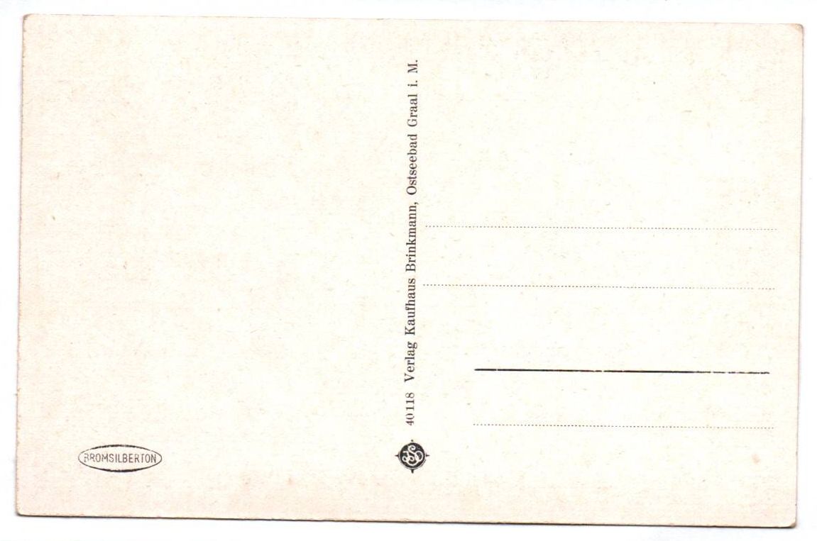 Postkarte Ostseebad Graal i M Waldpartie 1930er 