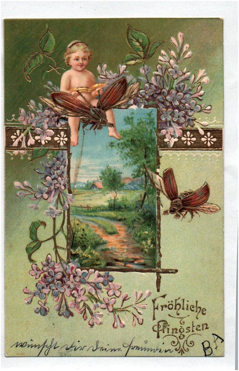 Ak Bube fliegt auf Maikäfer Blumen gold geprägte Karte 1903