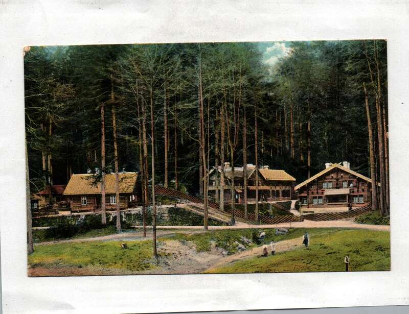 Ak Gruß aus der Balzhütte Post Dittersbach b. B, Kamnitz 1912