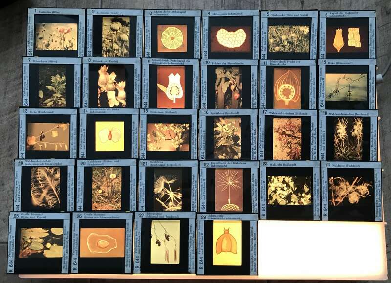 Dias alte Lehrmittel Sowjetunion Deutschland Glasdias