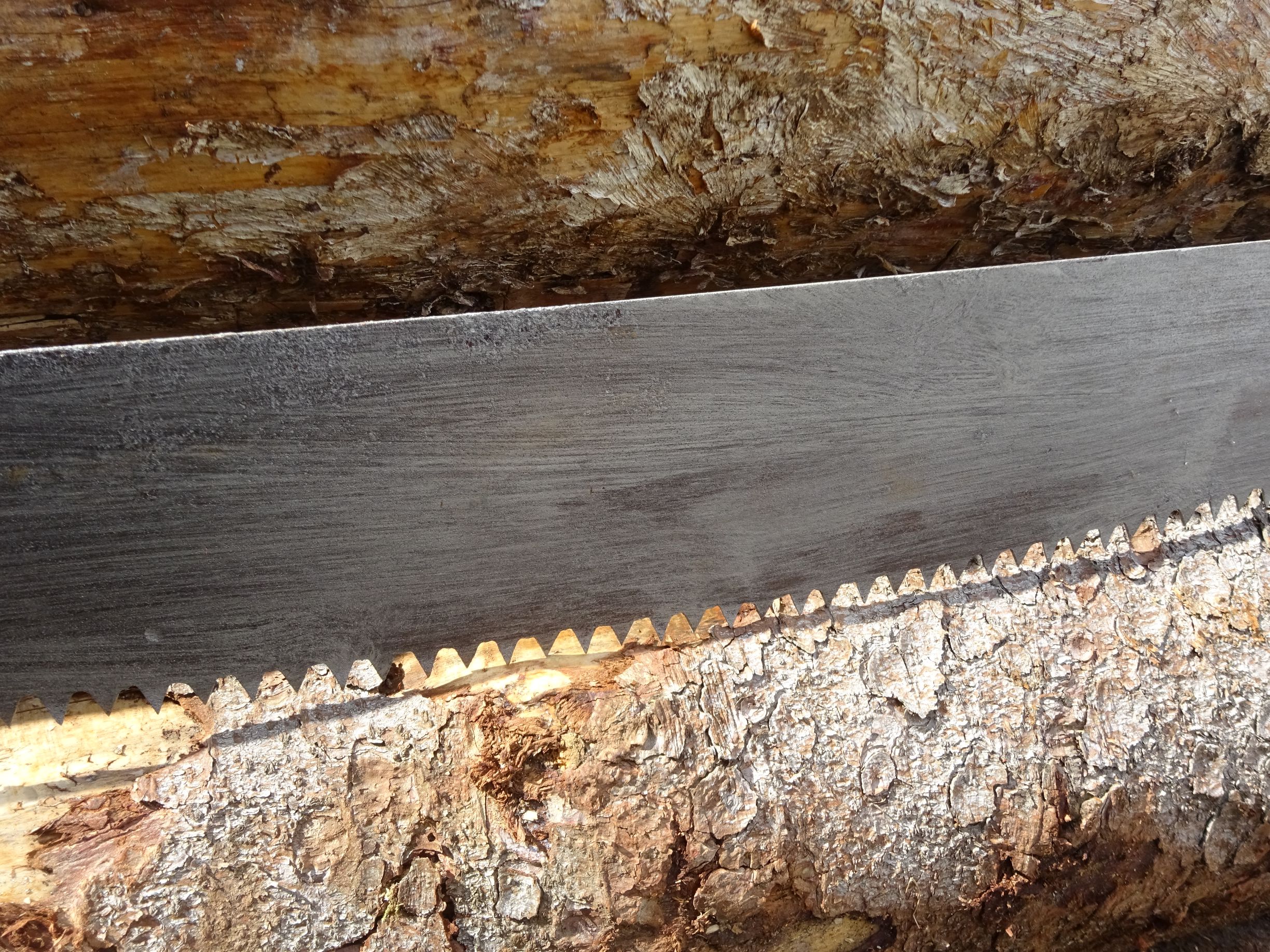 Alte Schrotsäge Hochzeitssäge 129 cm Zweimannsäge Deko Hochzeit Alte Schrotsäge Hochzeitssäge 129 cm Zweimannsäge Deko Hochzeit