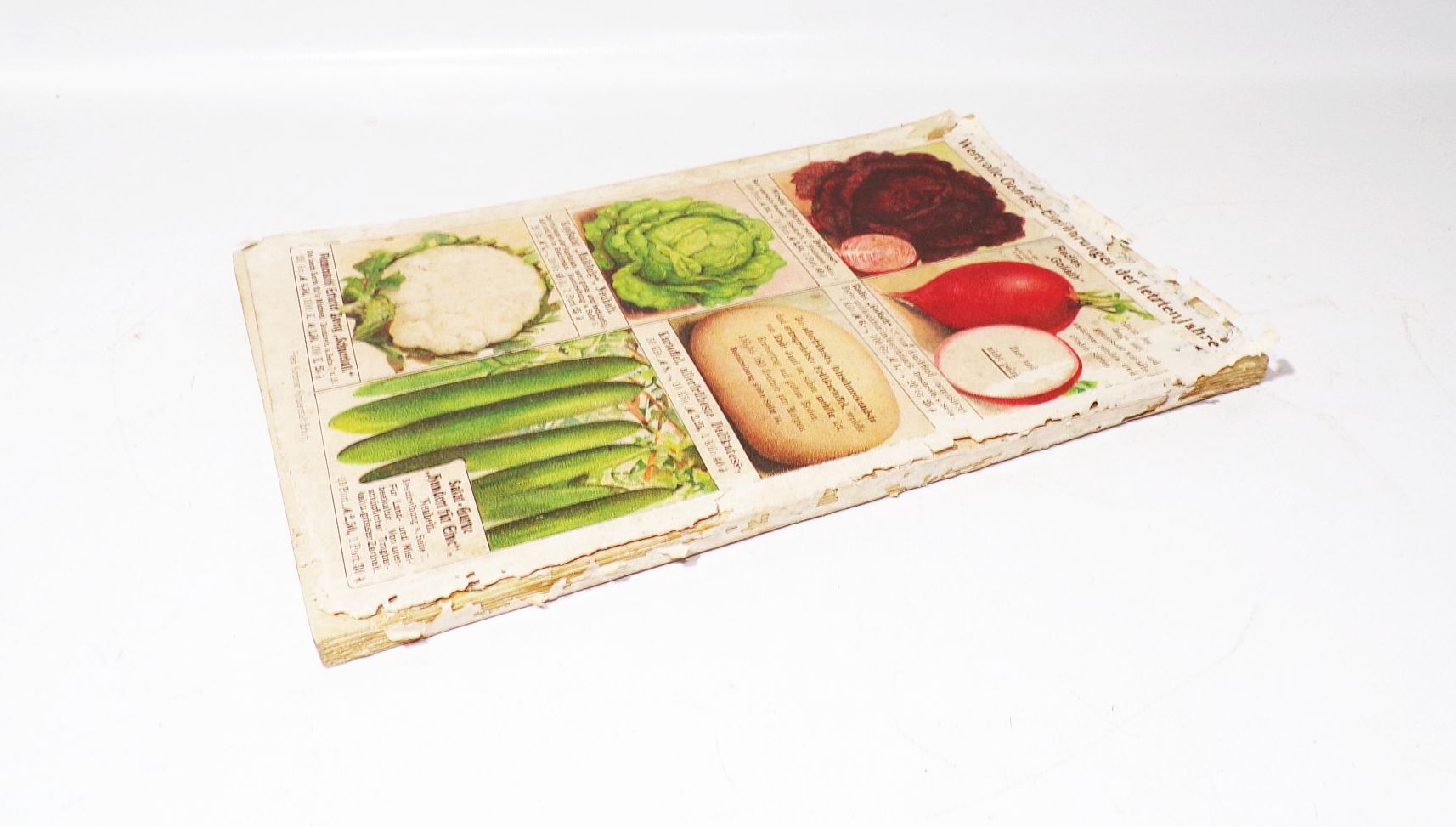 Katalog Carl Pabst Erfurt Blumen Gemüse Saatgut 1905 