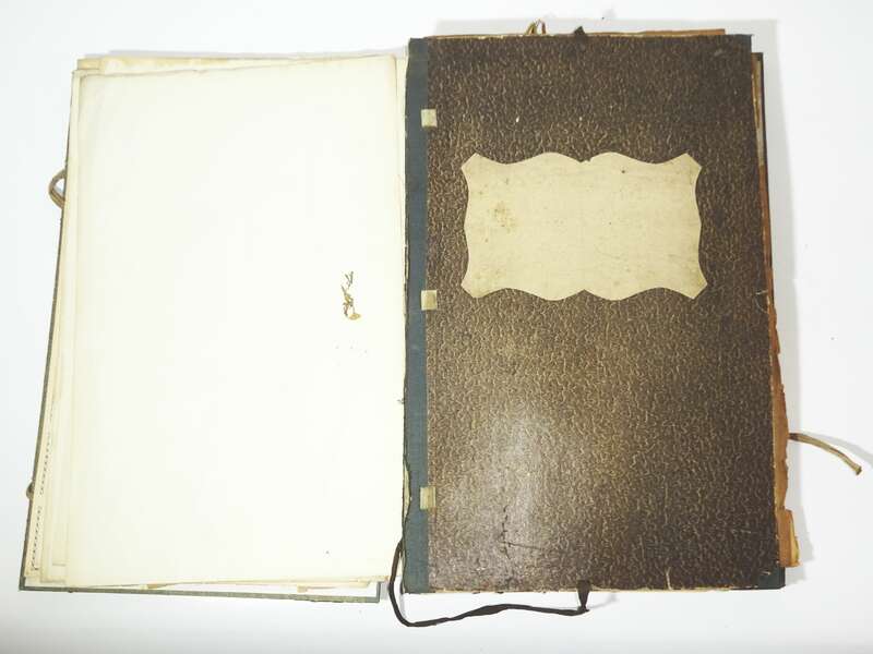 Herbarium um 1890 mit Etiketten Botanik Flora Pflanzen 