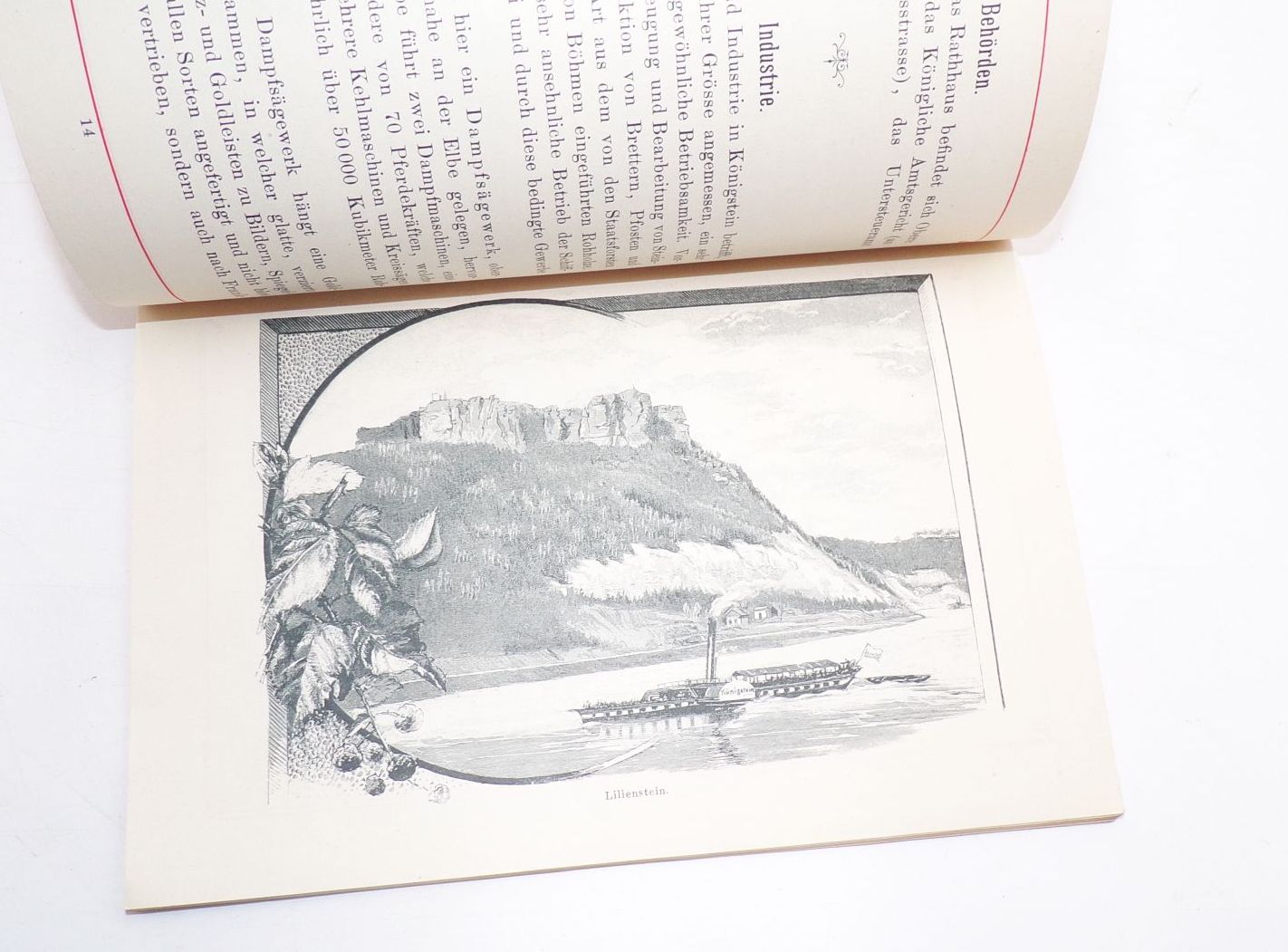 Königstein und seine Umgebung um 1890 Lithos Königstein und seine Umgebung um 1890 Lithos
