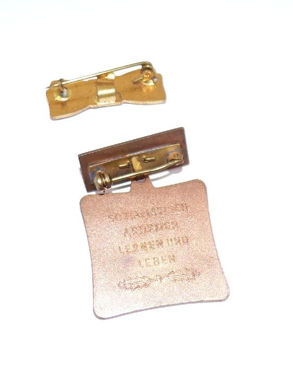 DDR Abzeichen Sozialistisch Arbeiten Lernen und Leben 1963 FDJ Schleife emailliert