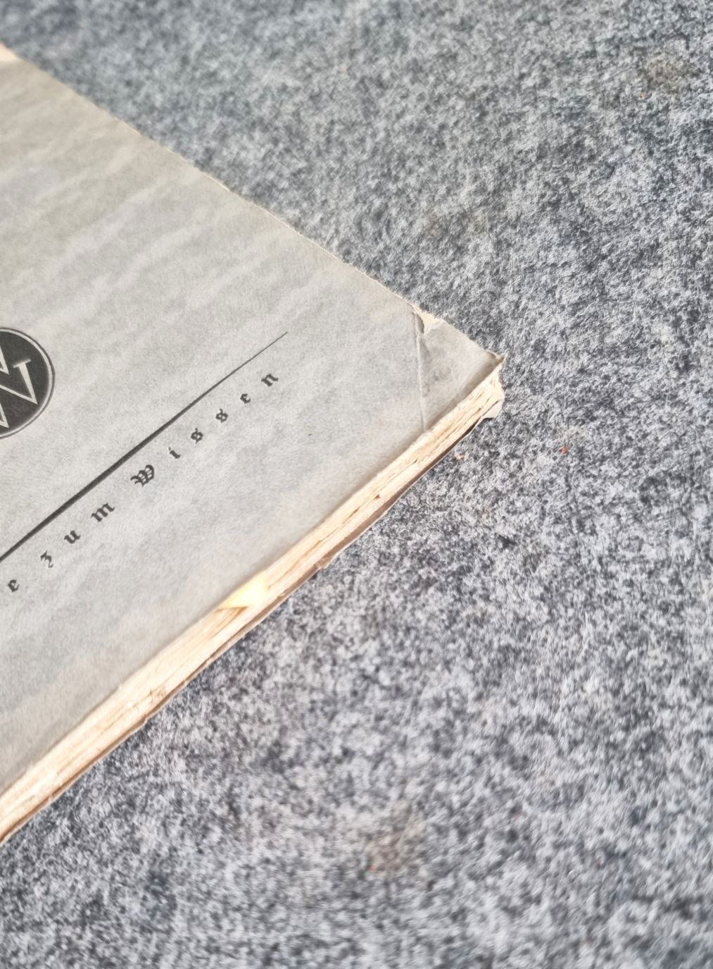 Buch Der moderne Sozialismus 1919 altes Buch Dr Ludwig Quessel Buch Der moderne Sozialismus 1919 altes Buch Dr Ludwig Quessel