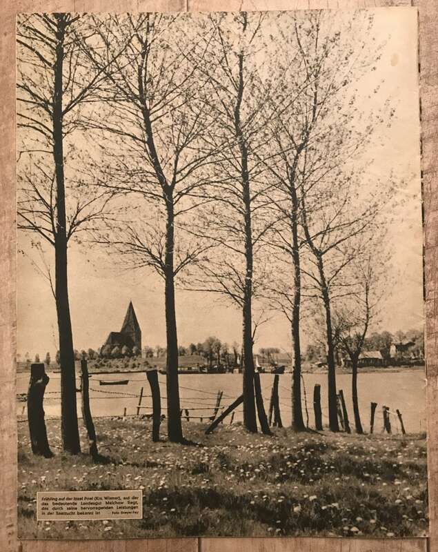 Illustrierte Rundschau verschiedene Ausgaben 1949 Zeitschrift