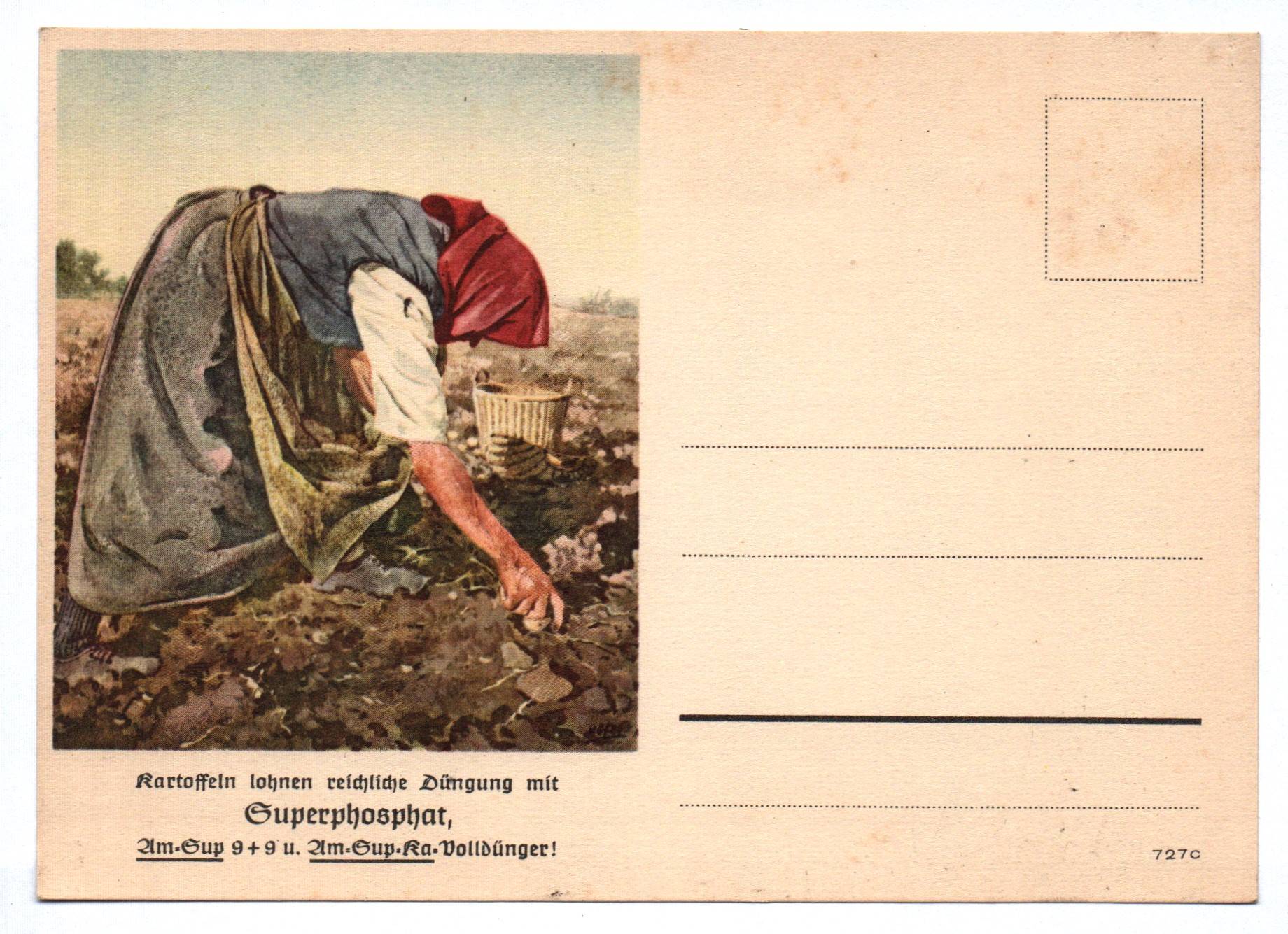Postkarte Kartoffeln lohnen reichliche Düngung mit Kupferphosphat