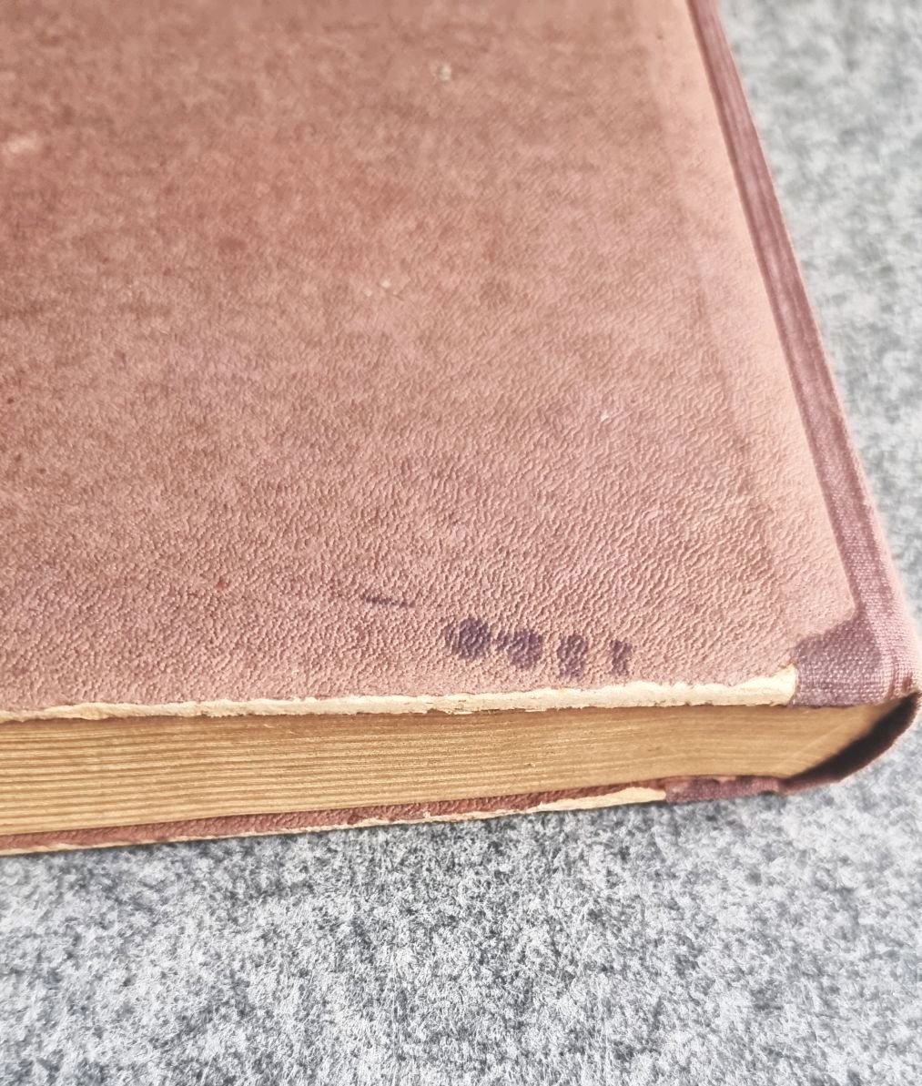 Karlchen Knirps Reisen und Abenteuer 2 Bände I und II 1922 alte Bücher Karlchen Knirps Reisen und Abenteuer 2 Bände I und II 1922 alte Bücher