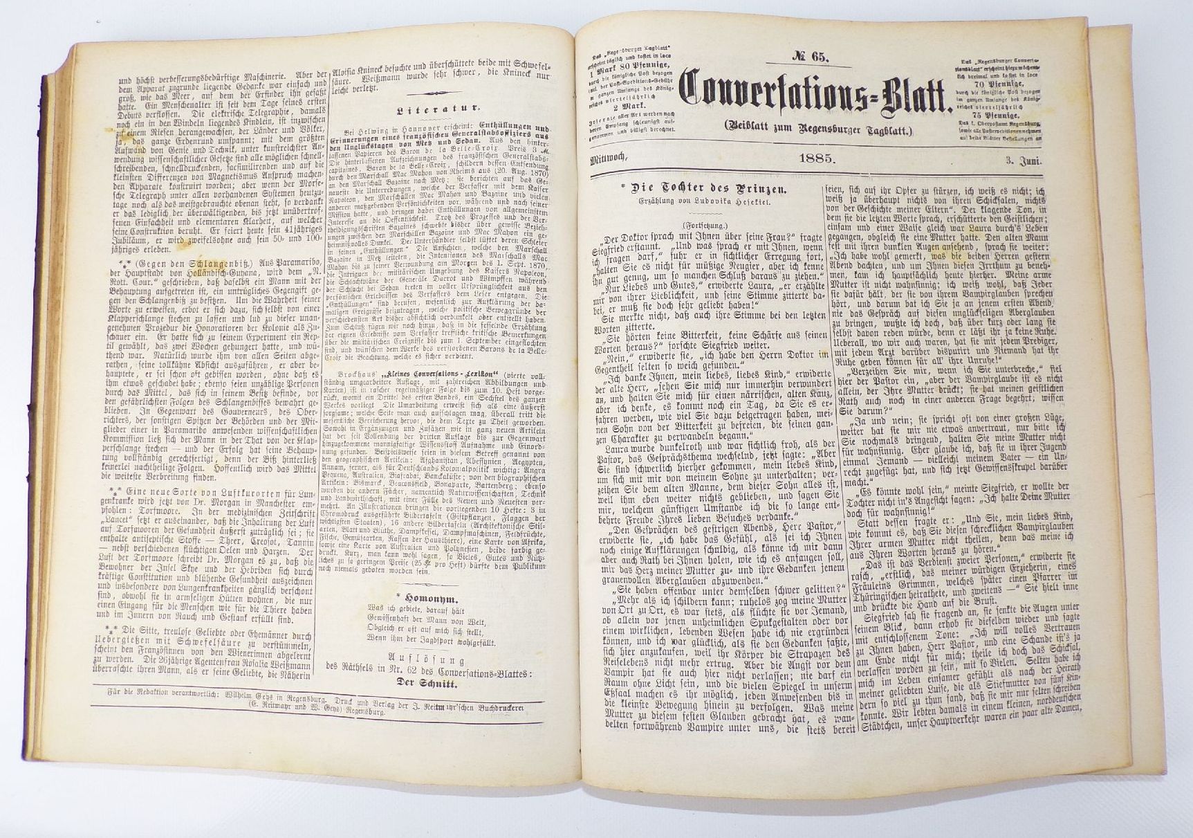 Regensburger Conversationsblatt Regensburg 1885 kompletter Jahrgang