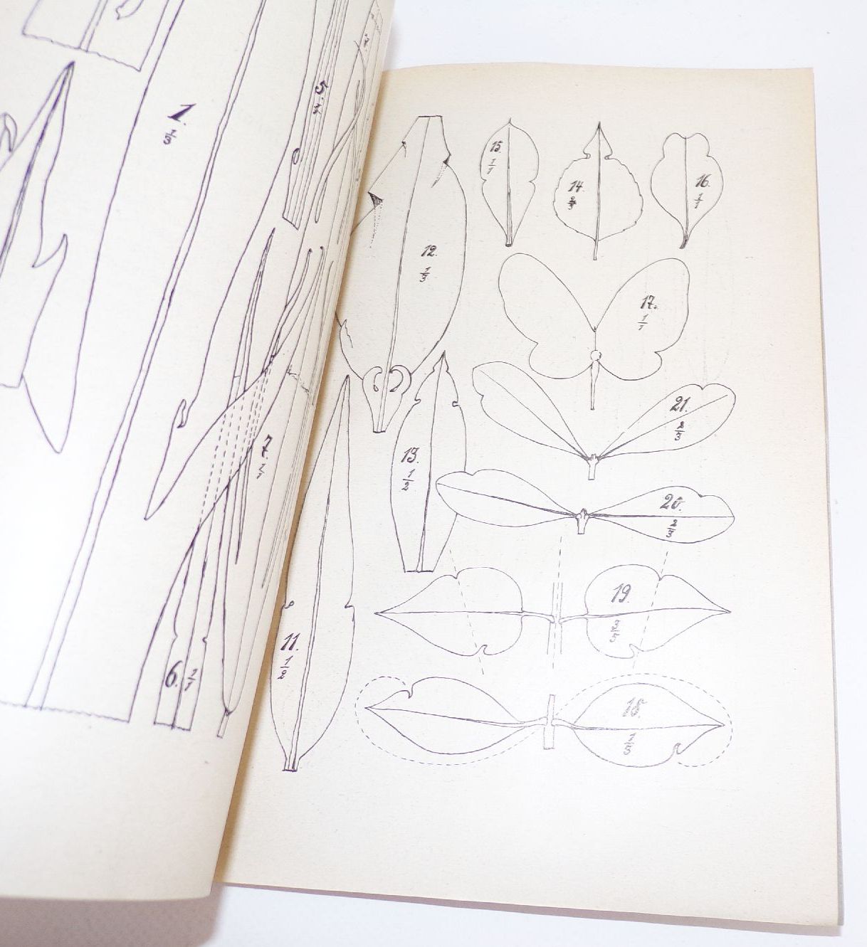 Schlesische Jahrbücher für Geistes und Naturwissenschaften 1923 1924 Breslau Schlesien