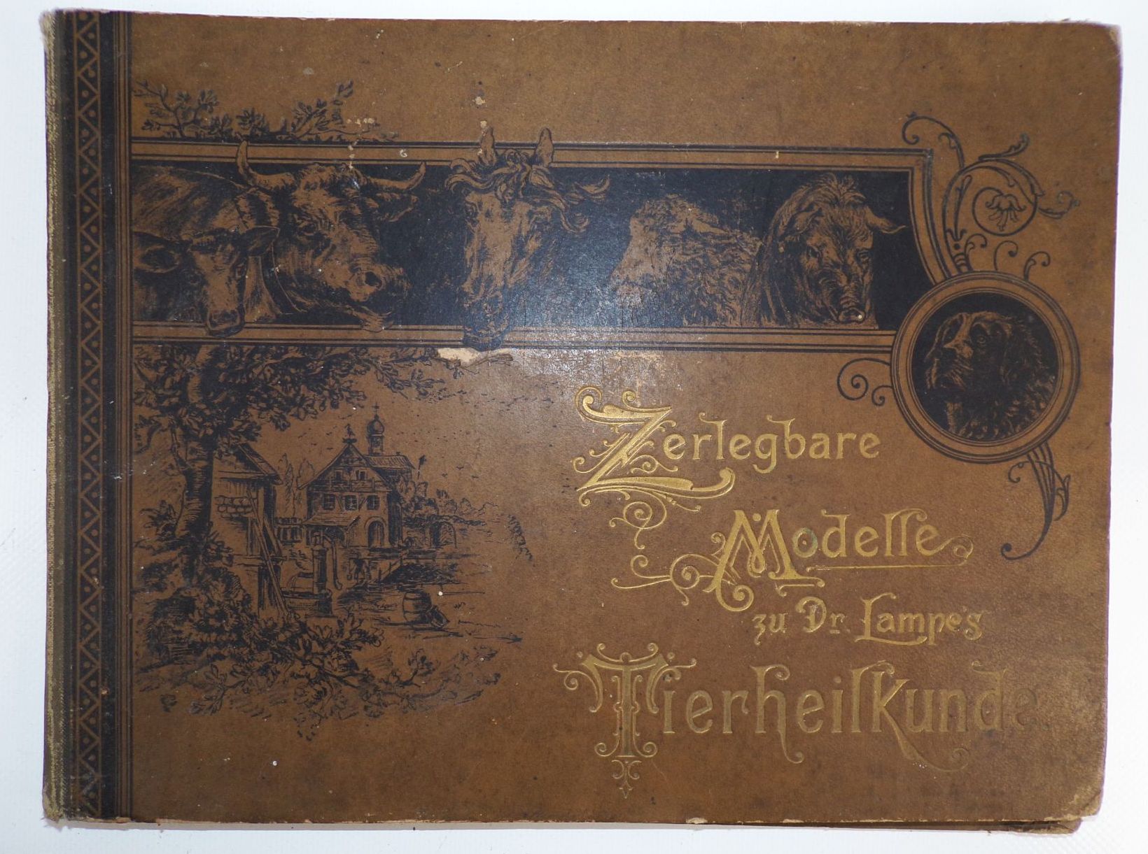 Zerlegbare Modelle zu Dr Lampe Tierheilkunde um 1900 Zerlegbare Modelle zu Dr Lampe Tierheilkunde um 1900