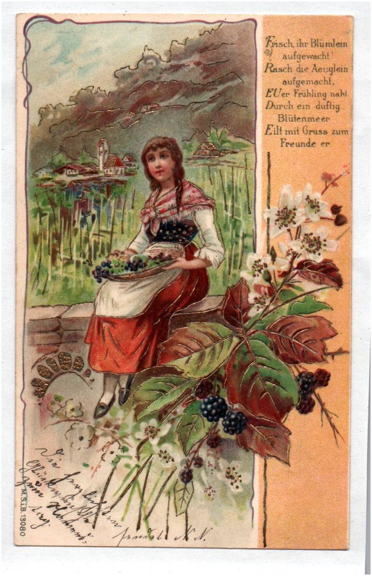 Ak Sennerin mit Brombeeren gold geprägt um 1910 