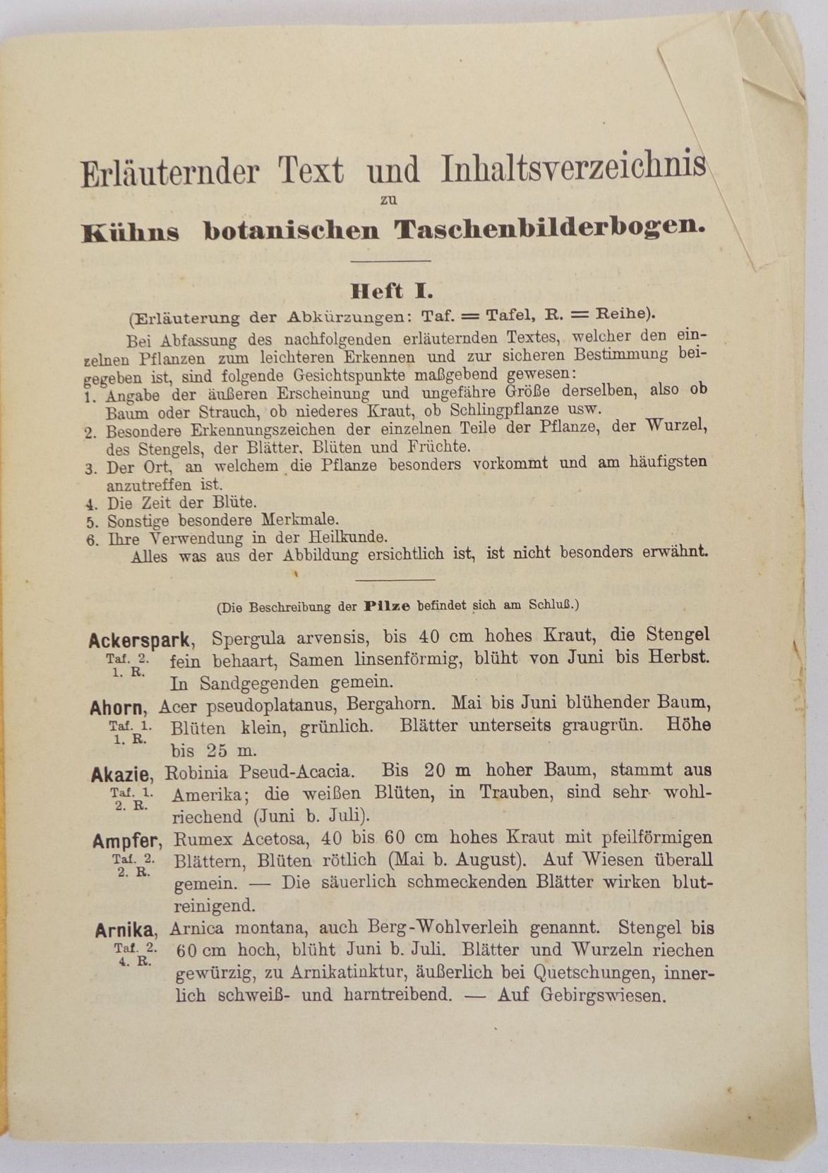 Kühns Botanischer Taschenbilderbogen Heft 1 Gewächse Mitteleuropas 