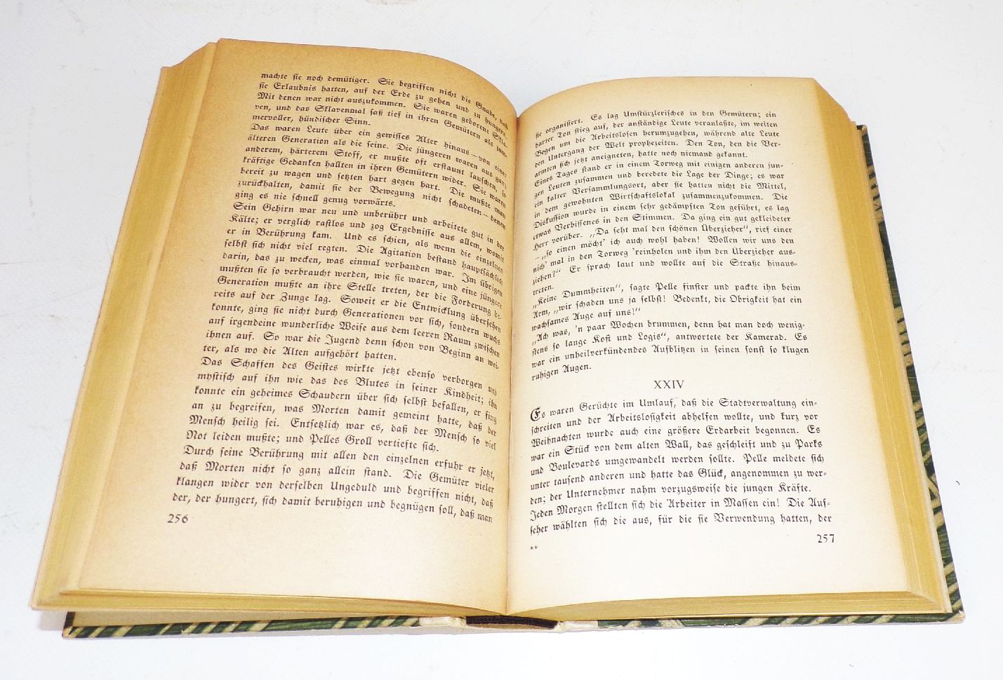 Pelle der Eroberer 2 Bände Martin Andersen Nexö Insel Verlag 1920 Einband 