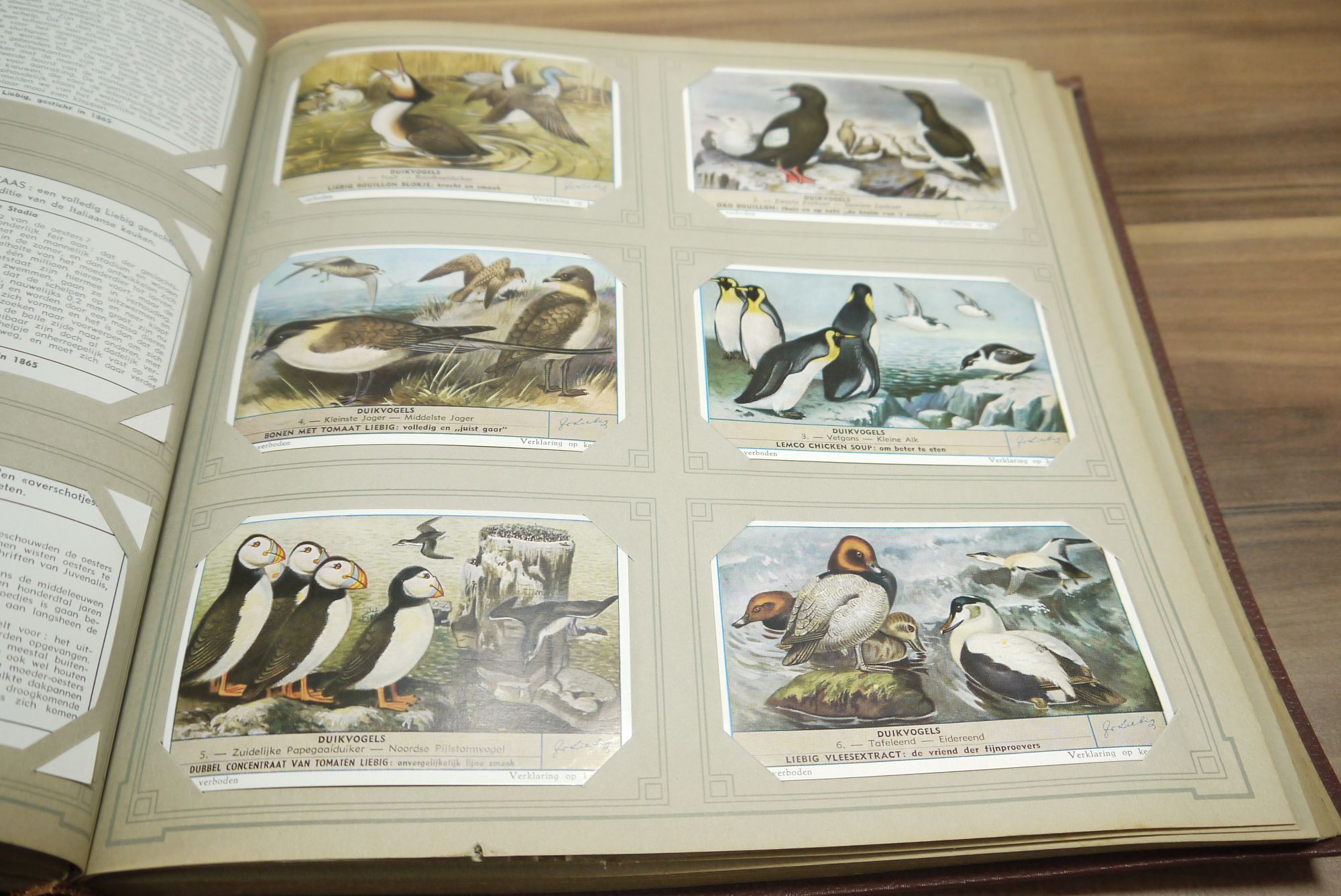 Liebig Album Chromo ca 50 Seiten 296 Karten Sammelbilder