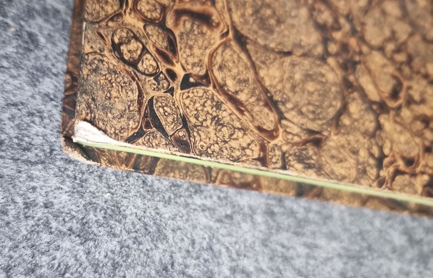 Gesetz und Verordnungsblatt Königreich Sachsen 1847 Dresden C C Meinhold und Söhne Gesetz und Verordnungsblatt Königreich Sachsen 1847 Dresden C C Meinhold und Söhne