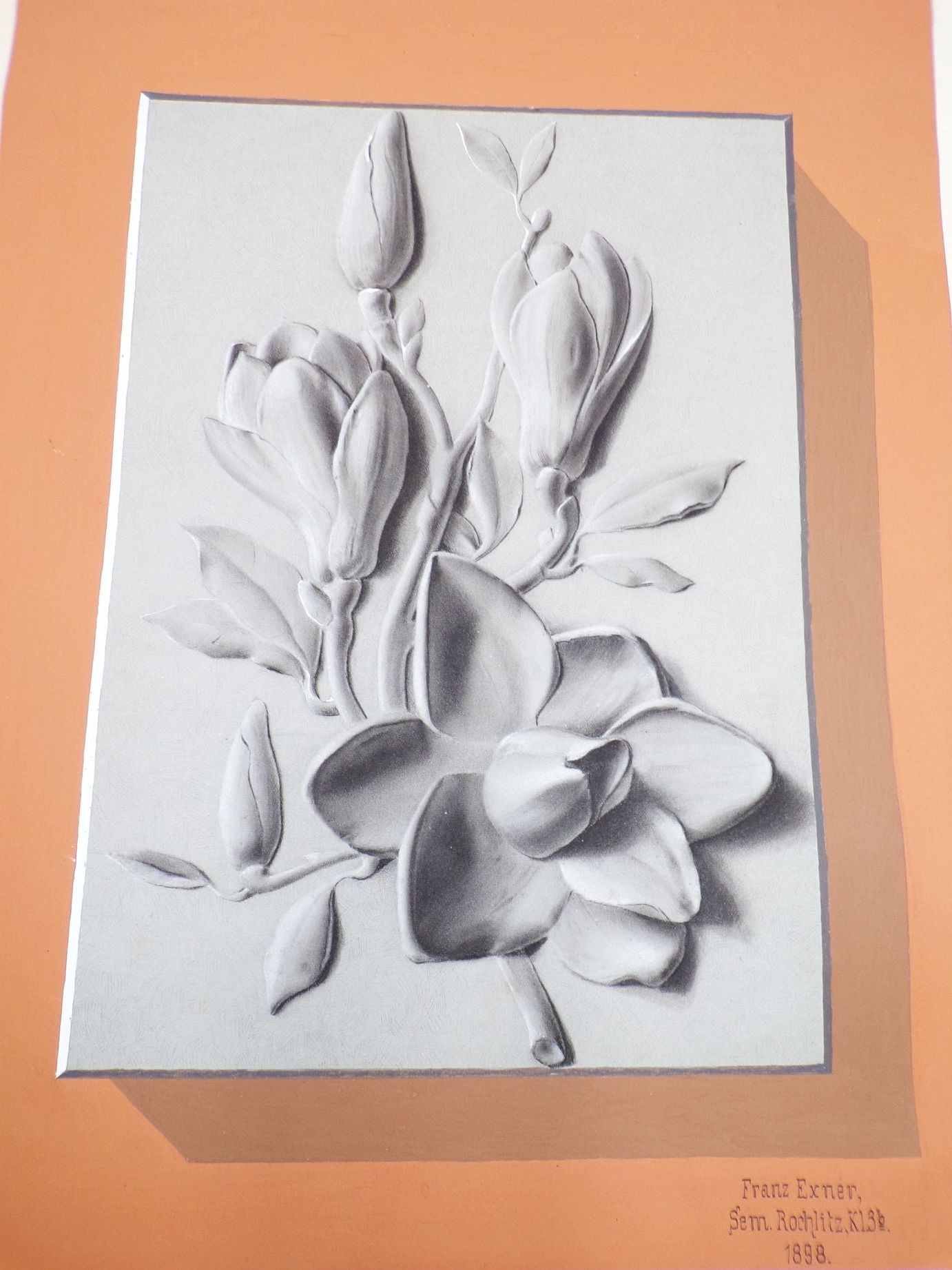 Alte Zeichnung Blumen Ornamentik 1898 Exner Rochlitz Dekorativ Alte Zeichnung Blumen Ornamentik 1898 Exner Rochlitz Dekorativ