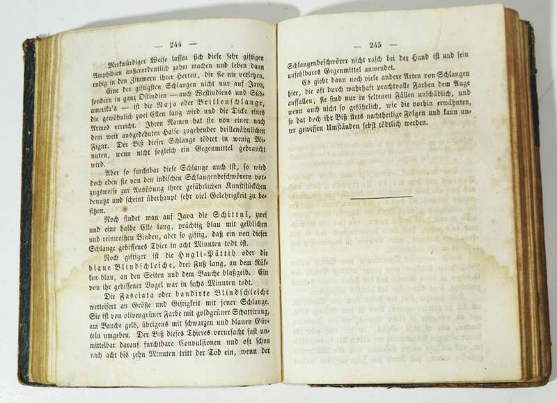 Karl Gottlieb Seibt Schuhmacher Zittau Reisen und Kriegstaten Lithos 1850er Ostindien