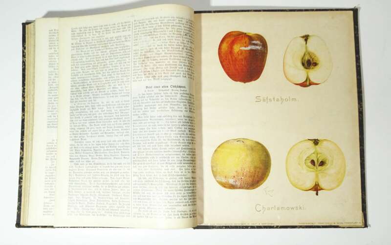 Der praktische Ratgeber im Obst und Gartenbau 1898 Garten Gärtner Obstbau