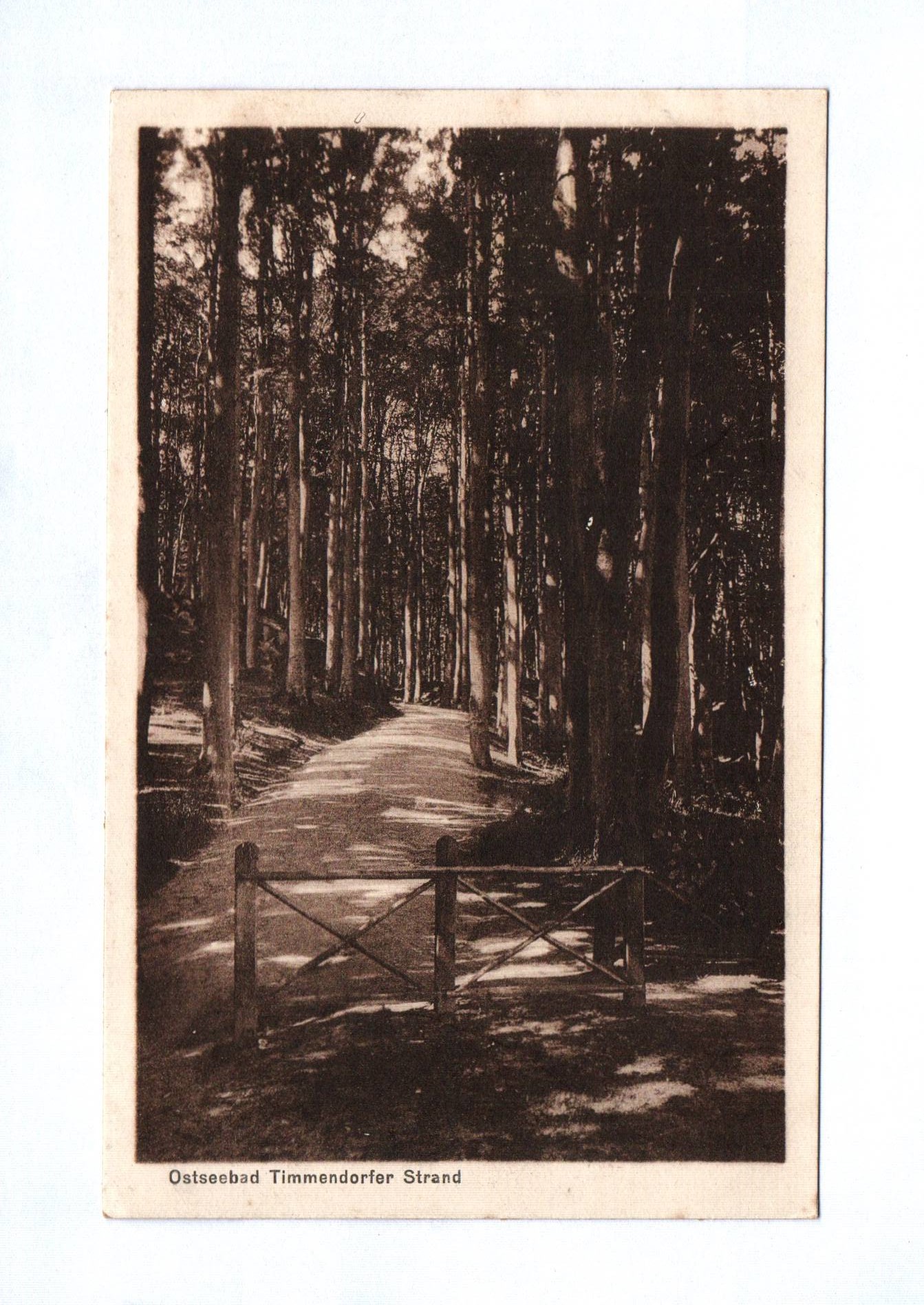 Ak Ostseebad Timmendorfer Strand Waldweg Ak Ostseebad Timmendorfer Strand Waldweg