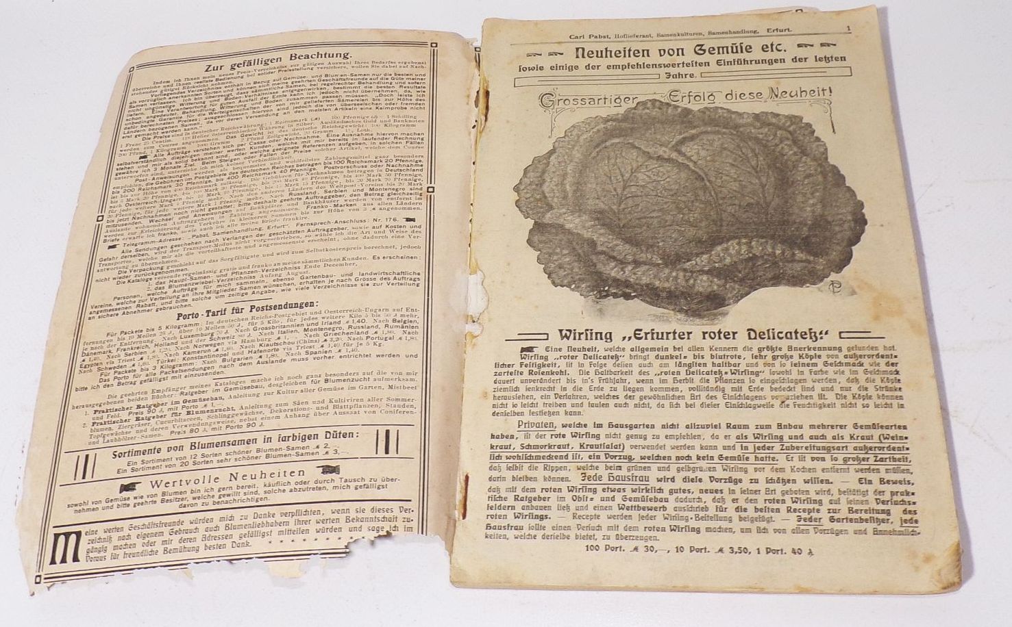 Katalog Carl Pabst Erfurt Blumen Gemüse Saatgut 1905 