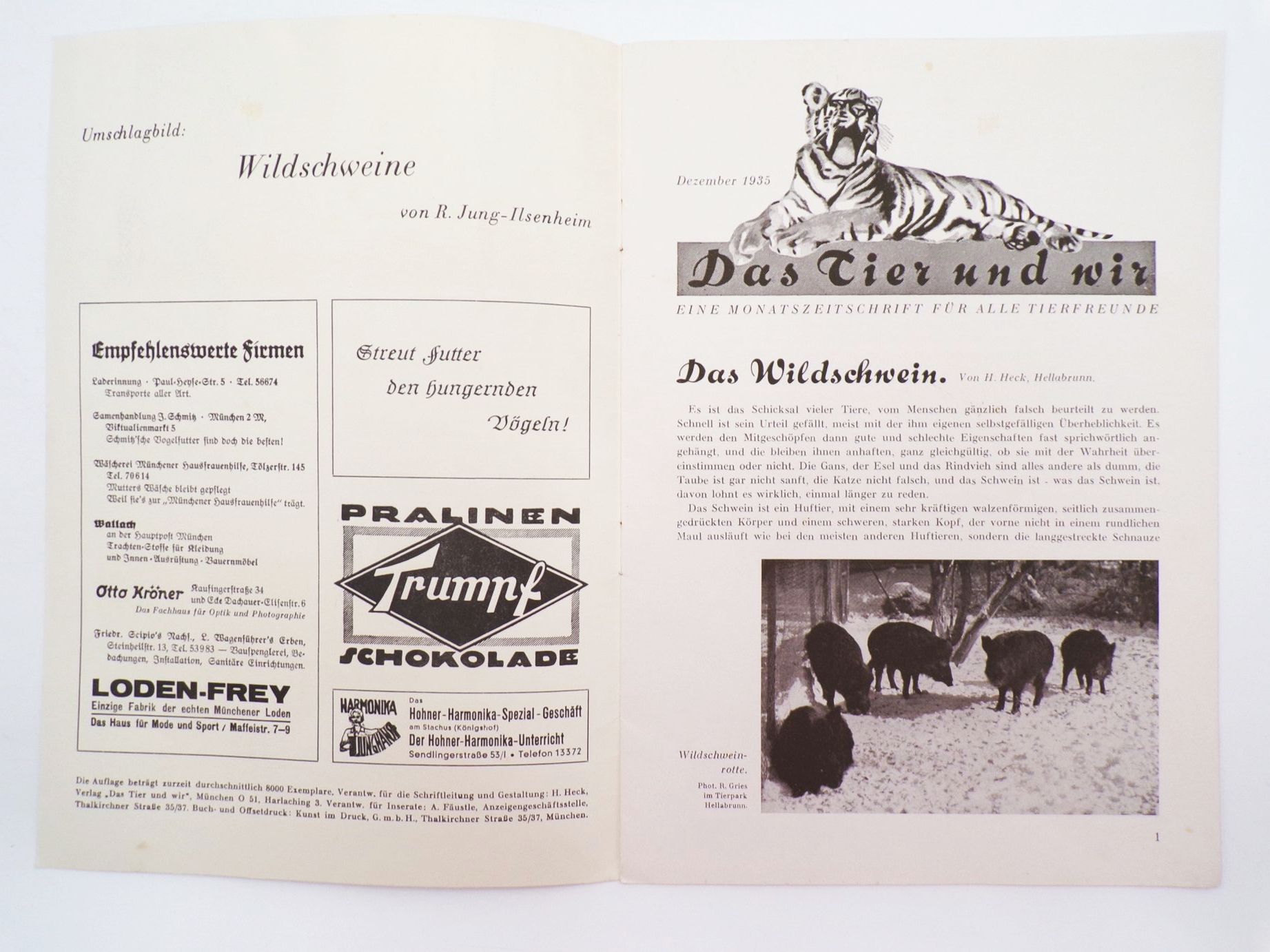 Tierpark Zeitung Hellbrunn München Franz Jung Ilsenheim Dezember 1935 Zoo Tierpark Zeitung Hellbrunn München Franz Jung Ilsenheim Dezember 1935 Zoo