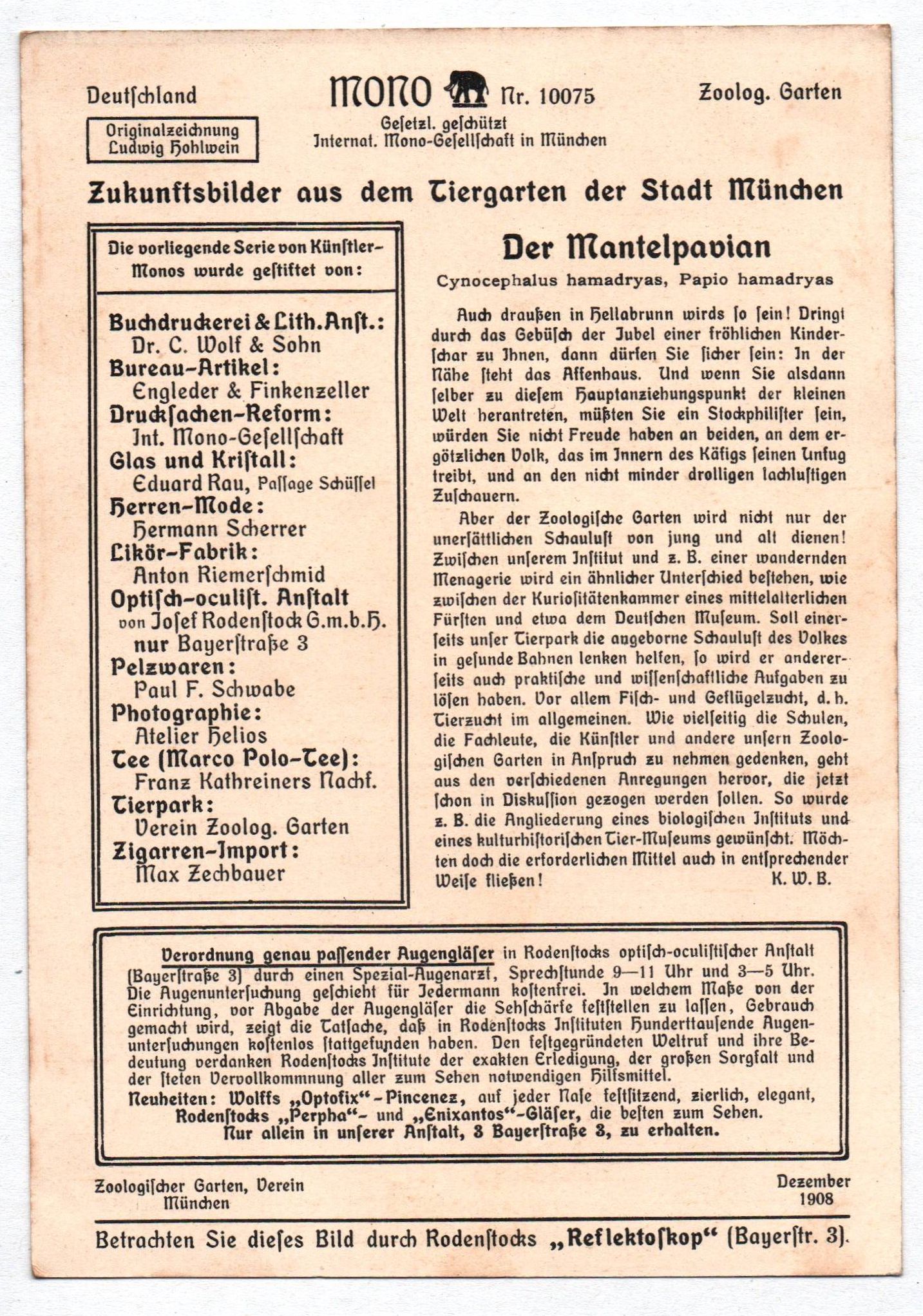 Altes Sammelbild Mantelpavian Zukunftsbilder Tiergarten München Ludwig Hohlwein Altes Sammelbild Mantelpavian Zukunftsbilder Tiergarten München Ludwig Hohlwein