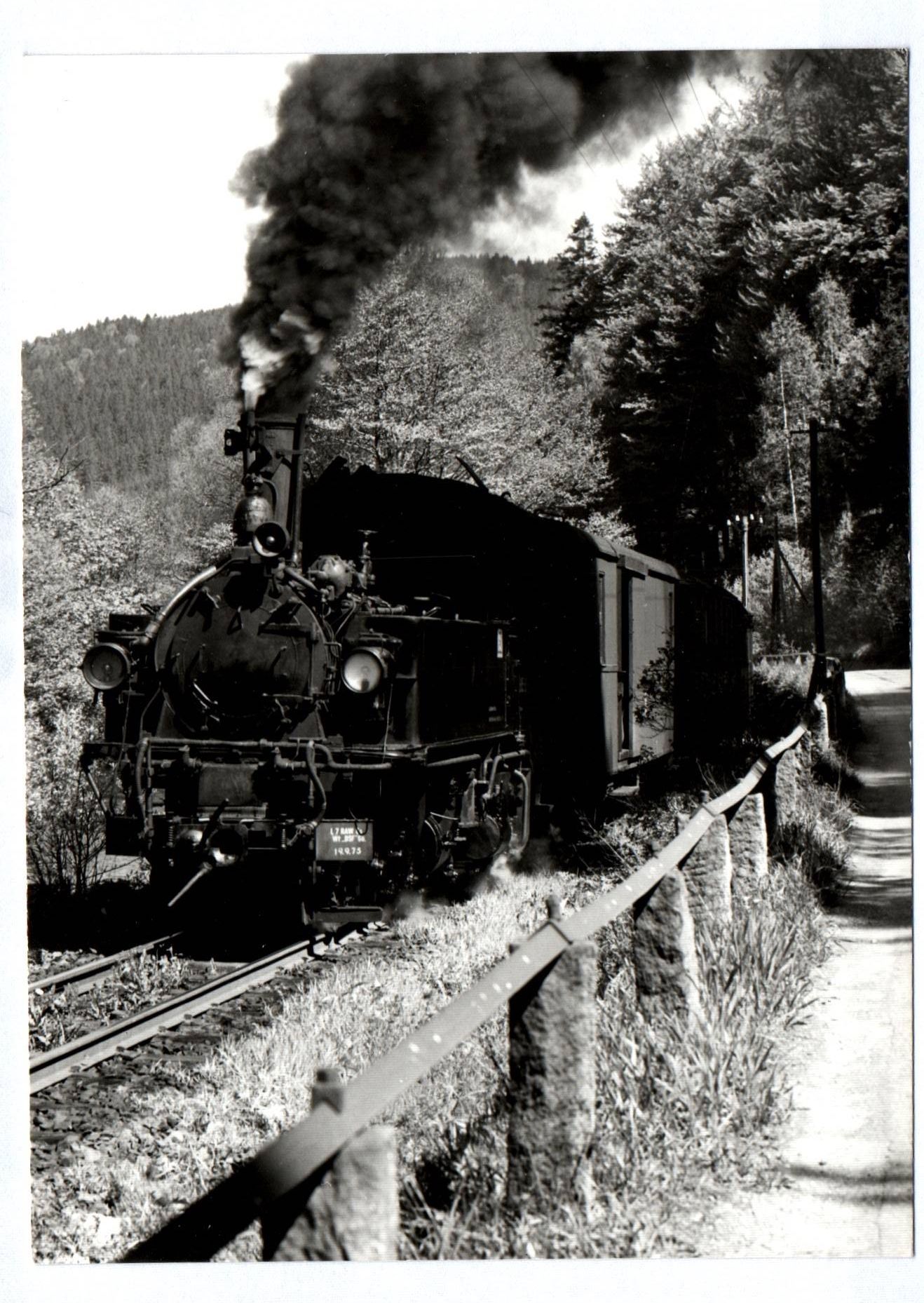 Foto Dampflok 99 1583-6 Jöhstadt Waldgebiet