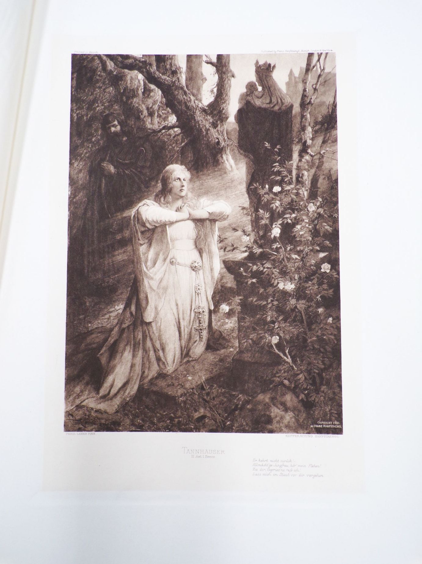 Richard Wagner Werk Ein Bildercyclus Begleitender Text von Franz Muncker