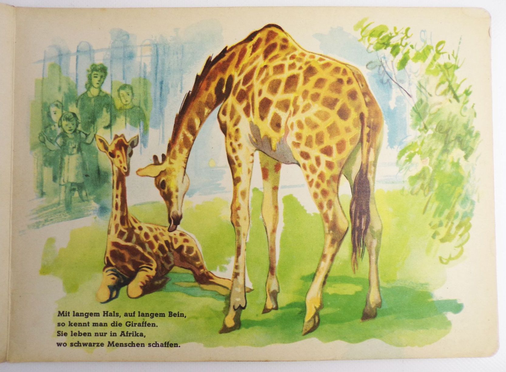 Tierkinder im Zoo 1957 DDR Kinderbuch