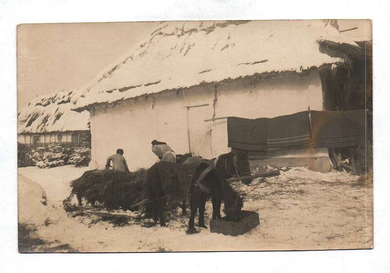 Foto Ak Feldpost 1917 Pferde Heu Häuser
