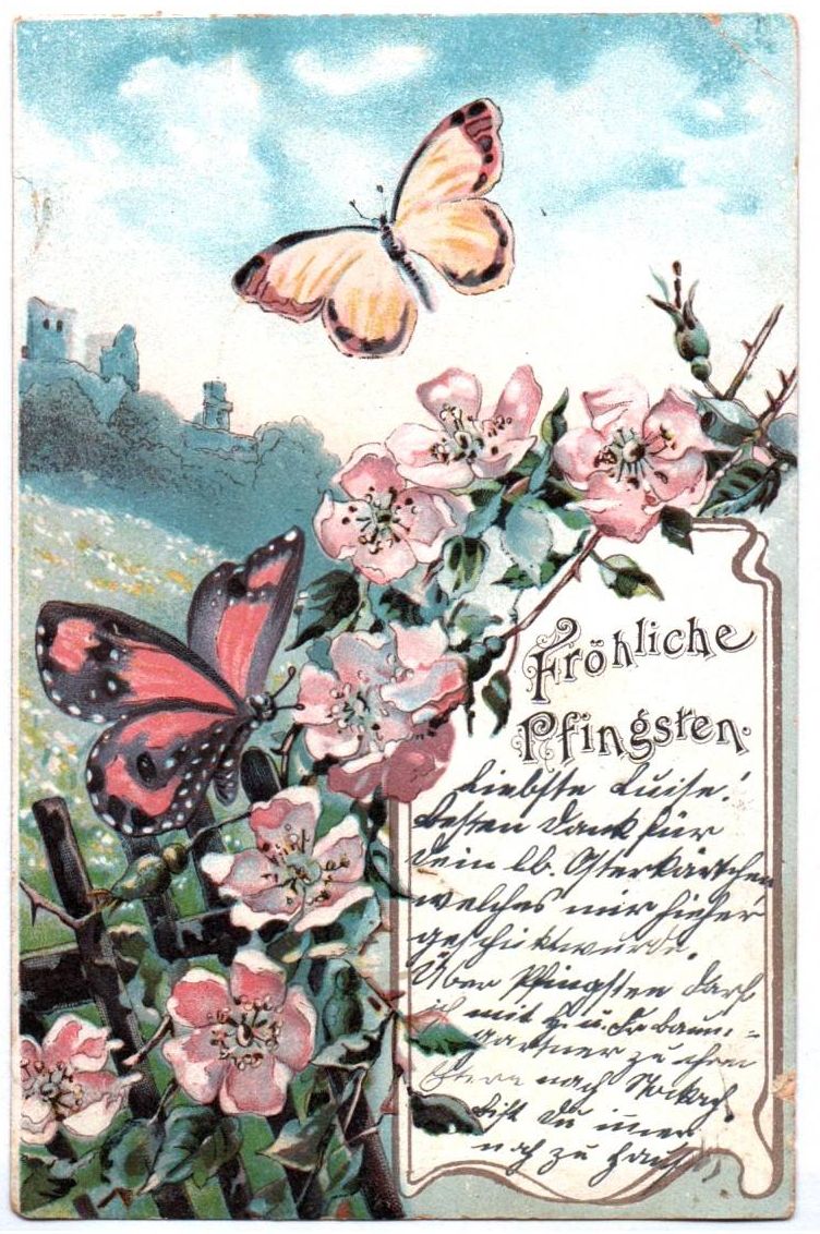 Litho Ak Fröhliche Pfingsten Schmetterlinge Hagebutte 1907 