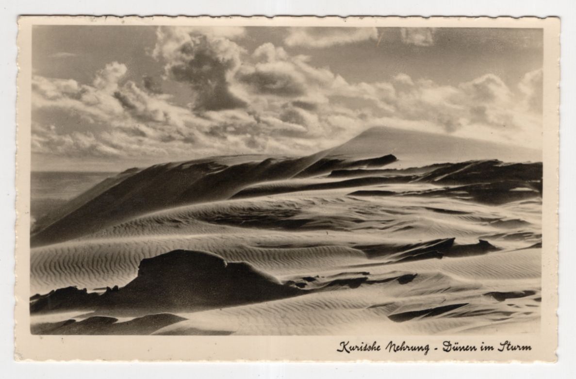 Ak Kurische Nehrung Dünen im Sturm Ostpreußen 1938