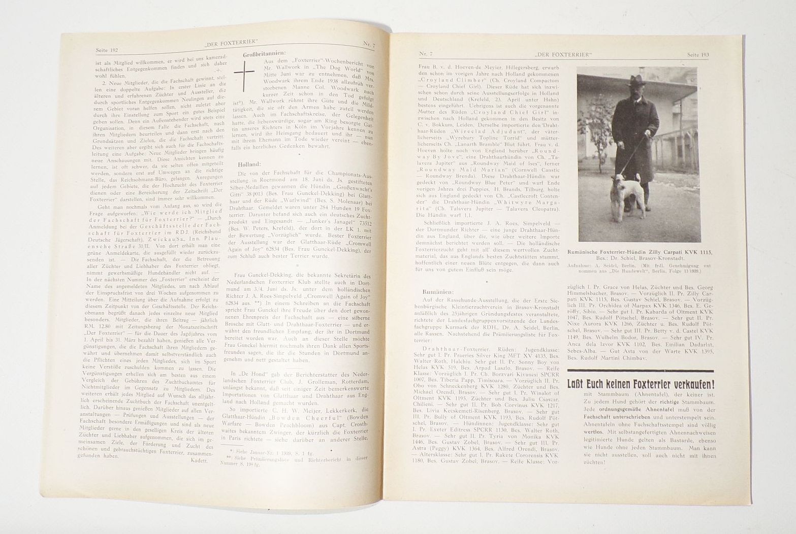 Der Foxterrier Fachschaft Zeitschrift Hunde 1939 