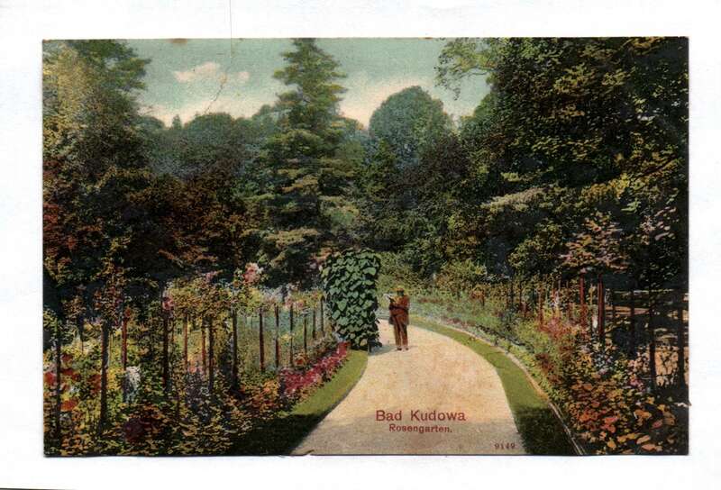 Ak Kudowa Postkarte 1911