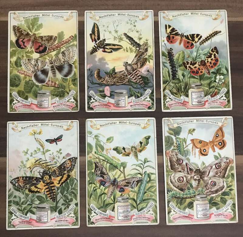 Liebig Serie 406 Sammelbilder Nachtfalter Mittel Europas Nr 406 