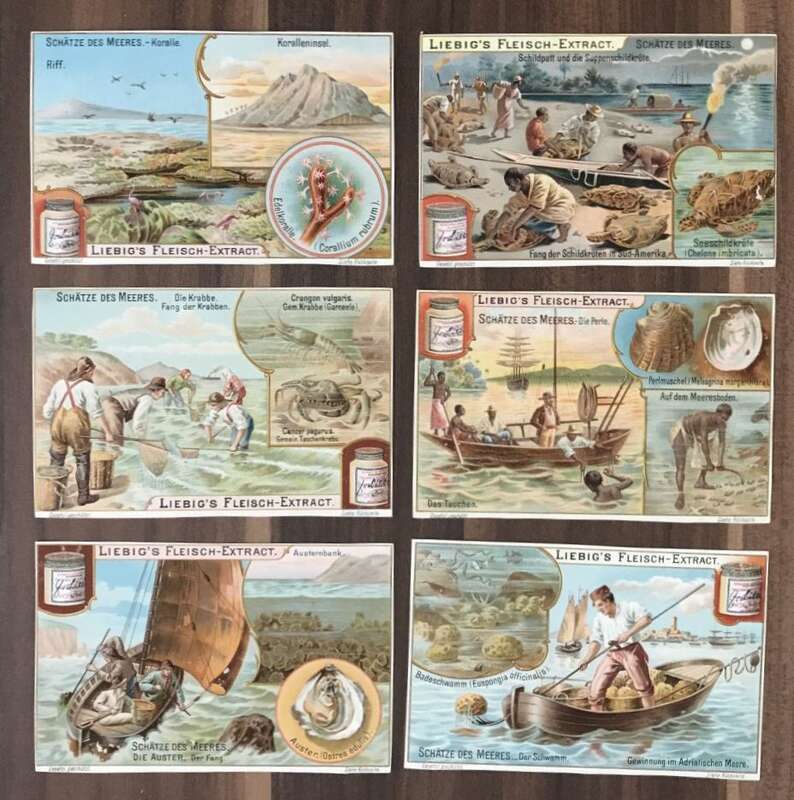 Liebig Bilder 6 Stück Schätze des Meeres Serie Nr 544 Sammelbilder